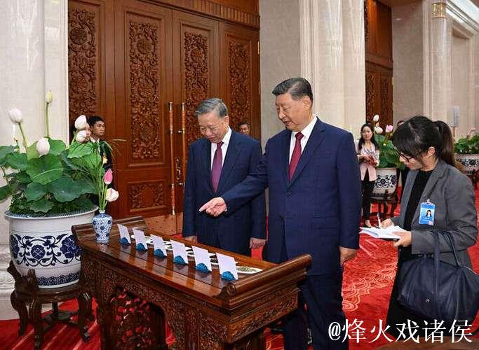 习近平同越共中央总书记苏林举行会谈